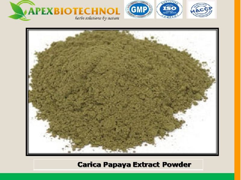 Apex Biotechnol Carica Papaya Extract, Grade : food