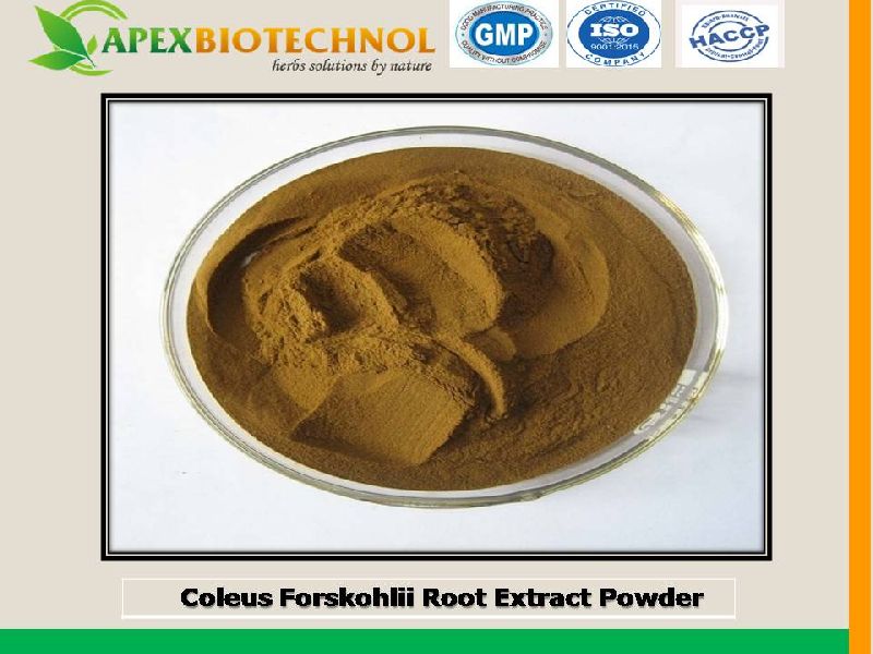 Coleus Forskohlii Root Extract