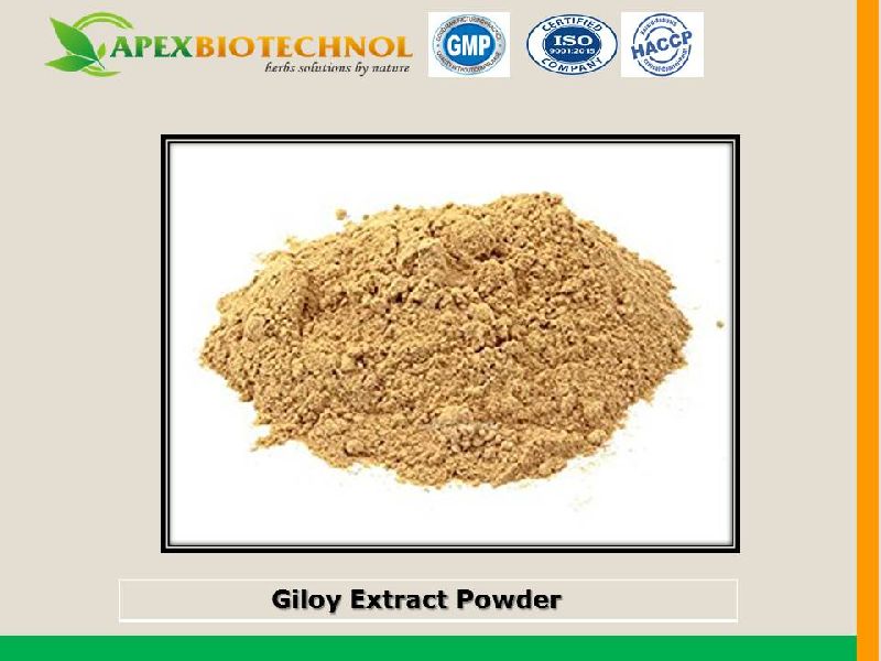 Giloy Extract Powder
