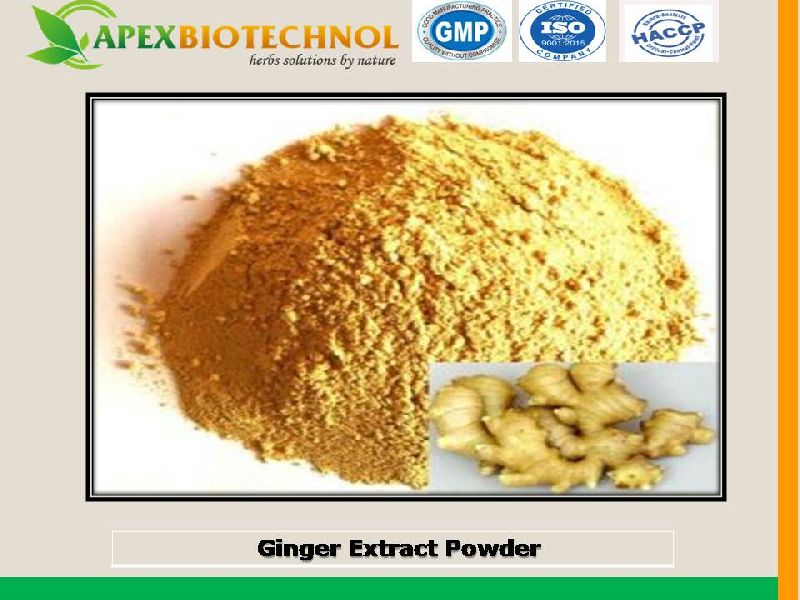 Apex Biotechnol GINGER EXTRACT, Grade : food