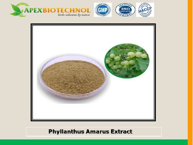 Apex Biotechnol phyllanthus amarus extract, Grade : food Grade