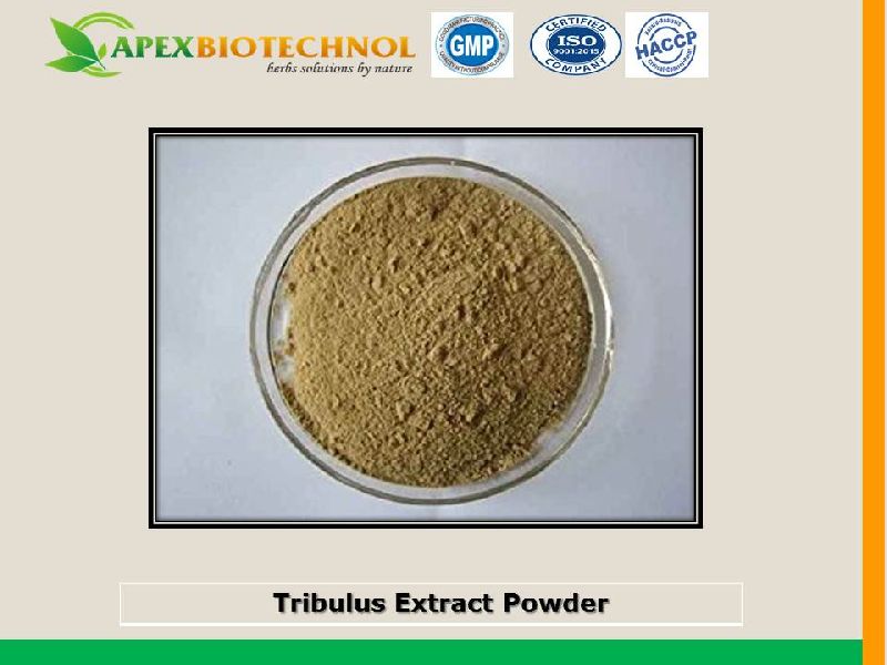 Apex Biotechnol Tribulus Extract, Grade : food Grade
