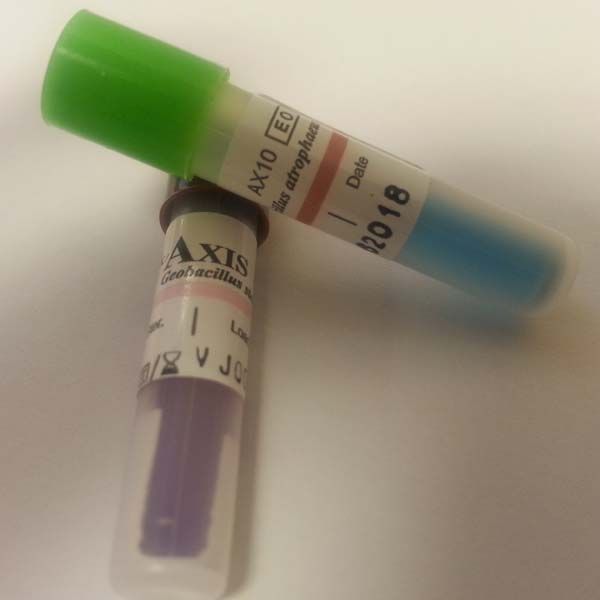 Biological Indicator