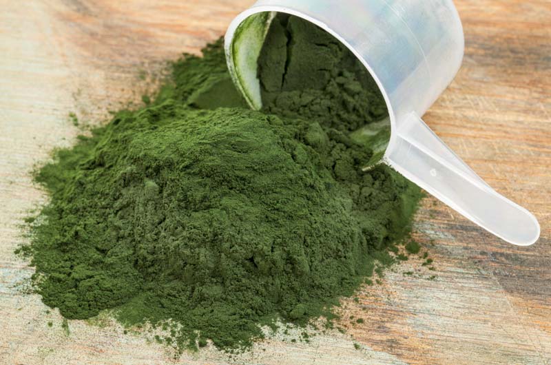 spirulina powder