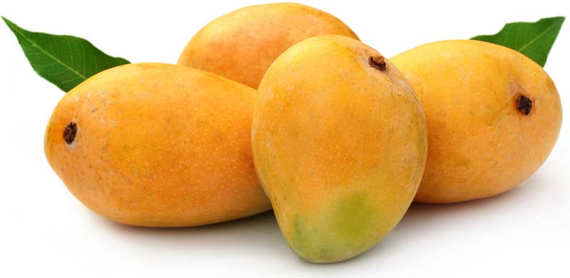 Alphonso mango