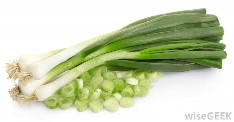 Oval-Round Natural Fresh Green Onion, for Cooking, Packaging Type : Plastic Bags