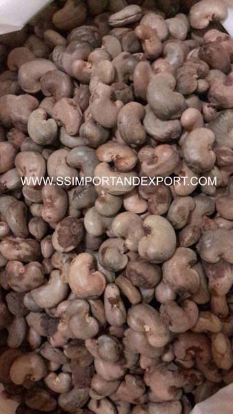 imported raw cashew nuts in shell