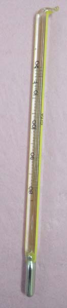 Poultry Thermometer