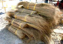 coco brooms stick