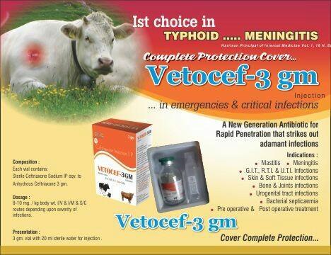 Vetocef-3gm Injection