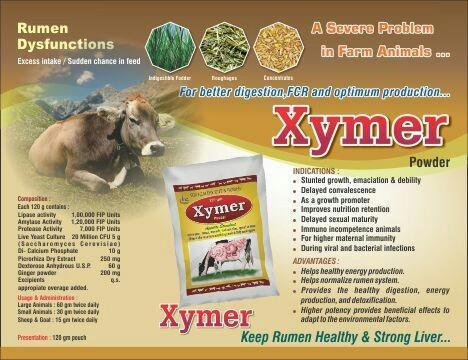 Xymer Powder