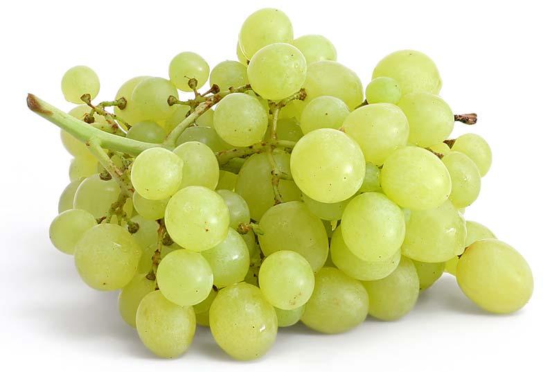 fresh grapes
