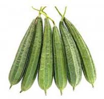 Fresh Ridge Gourd