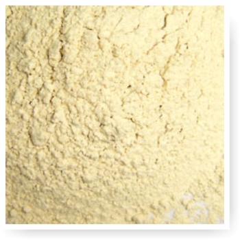 dehydrated garlic powder