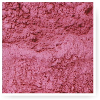 Dehydrated Red Onion Powder