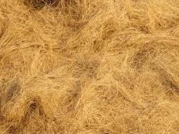 Coir Fiber