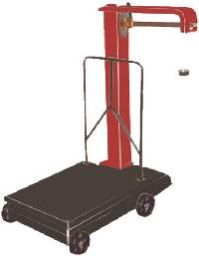 Platform Scale Weighing Machines