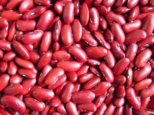 red kidney beans