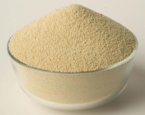 Semolina