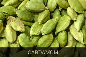 cardamom