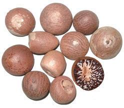 RAS areca nut, Style : export quality