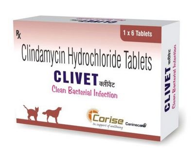Clivet Tablets (300 mg)