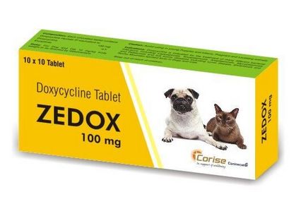 Zedox Tablets (100 mg)