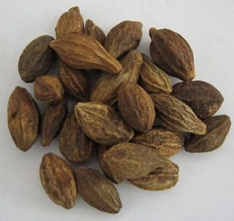 Organic Harad Seeds, for Agriculture, Cooking, Food, Medicinal, Style : Natural