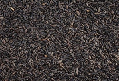 Organic Niger Seeds, for Agriculture, Cooking, Food, Medicinal, Style : Natural