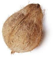Coconuts semi husked