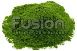 dehydrated coriander leaves powder