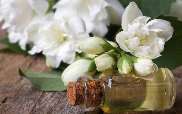 Jasmine Essential Oil, Form : Liquid