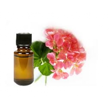 Rose Geranium Oil, Purity : 100%