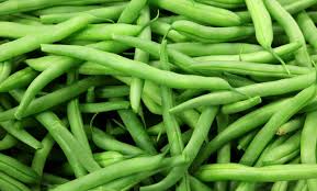 Organic Fresh Green Beans, Packaging Type : Net Bag