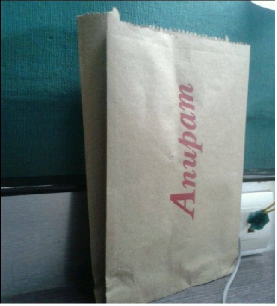 Brown Paper Bags