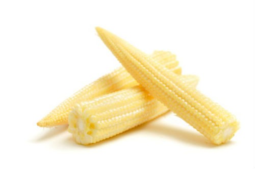 Fresh Baby Corn By Global Agri Enterprise Fresh Baby Corn Inr 85 Kilogram Approx Id 3051955