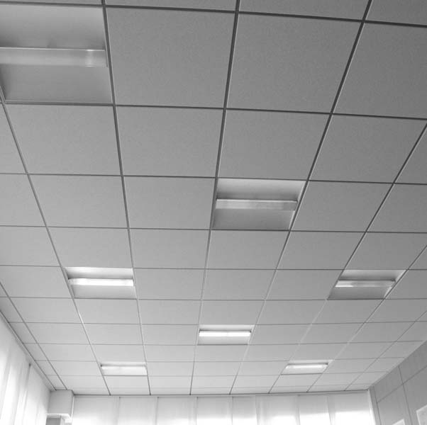 plastic translucent panels for suspended ceilings