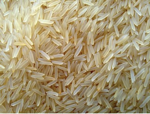 Common Soft 1121 Basmati Rice, for Gluten Free, High In Protein, Color : Light Golden Yellow