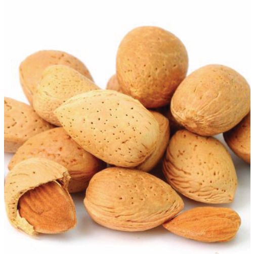 Hard Shelled Almonds