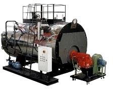 URJEX CNG Fired Steam Boiler