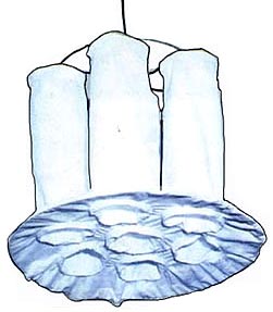 Fluid Bed Dryer Bags