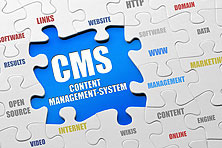 Cms Website