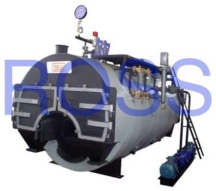 Solid Fuel Fired Steam Boiler