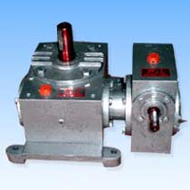 Vertical Double Worm Reduction Gearbox