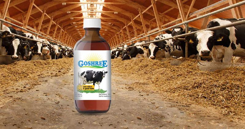 rich supplement for cattle
