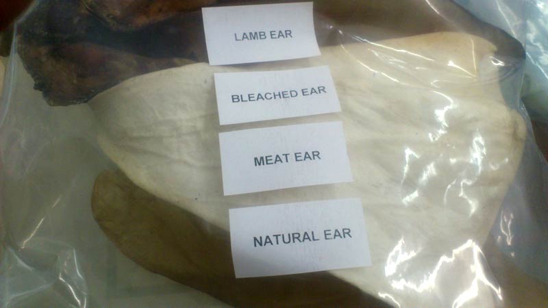 Dog Foods - Ears