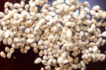 Cotton seeds, for Agriculture, Medicine, Feature : Aid Wound Care