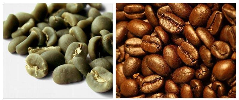 Common Coffee Seeds