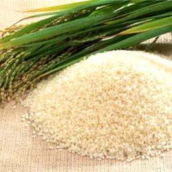 Sella Rice - (pusa-1121)
