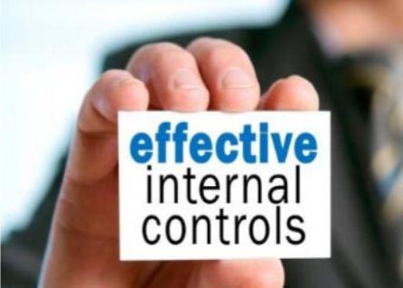 Internal Financial Control Services